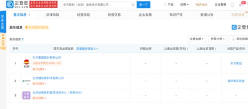 东方集团战略布局 投资成立东方数科，拓展信息技术与数据处理服务