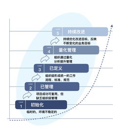 IBM数据治理成熟度评估模型 驱动企业数据价值实现的关键框架
