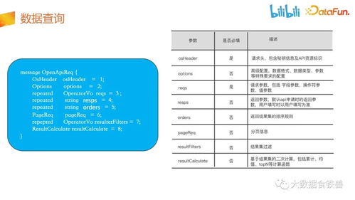 哔哩哔哩数据服务中台建设实践 数据处理服务的演进与探索